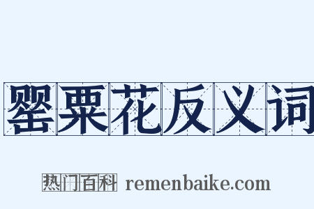 罂粟花反义词是什么意思的图片